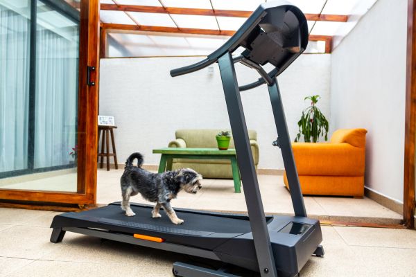 Treadmill Installation in Metairie