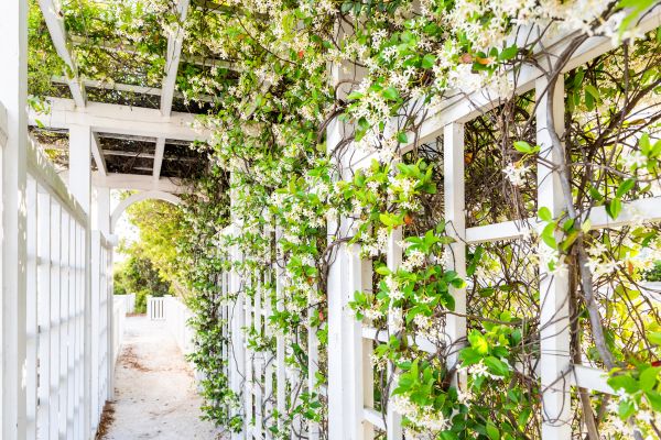 Trellis Repair in Metairie