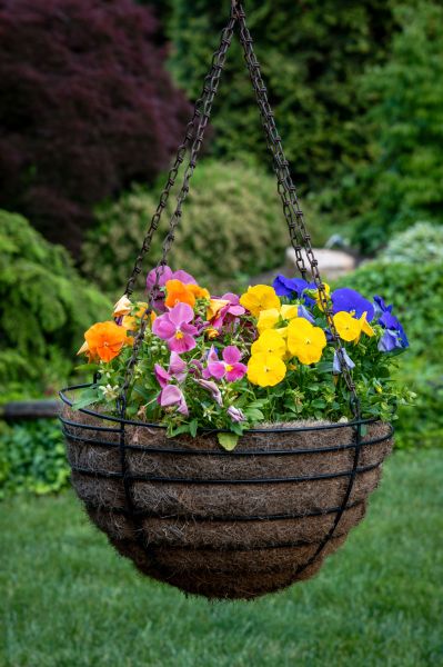Hanging Basket Installation in Metairie