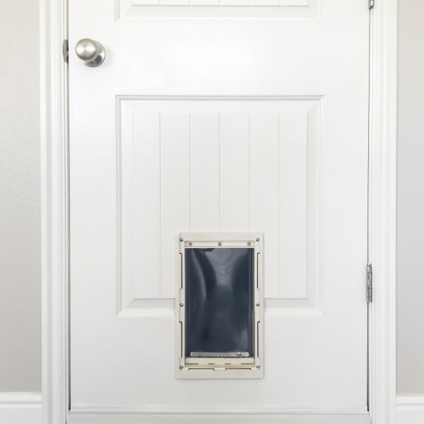 Pet Door Repair in Metairie