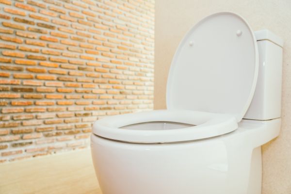 Toilet Seat Repair in Metairie
